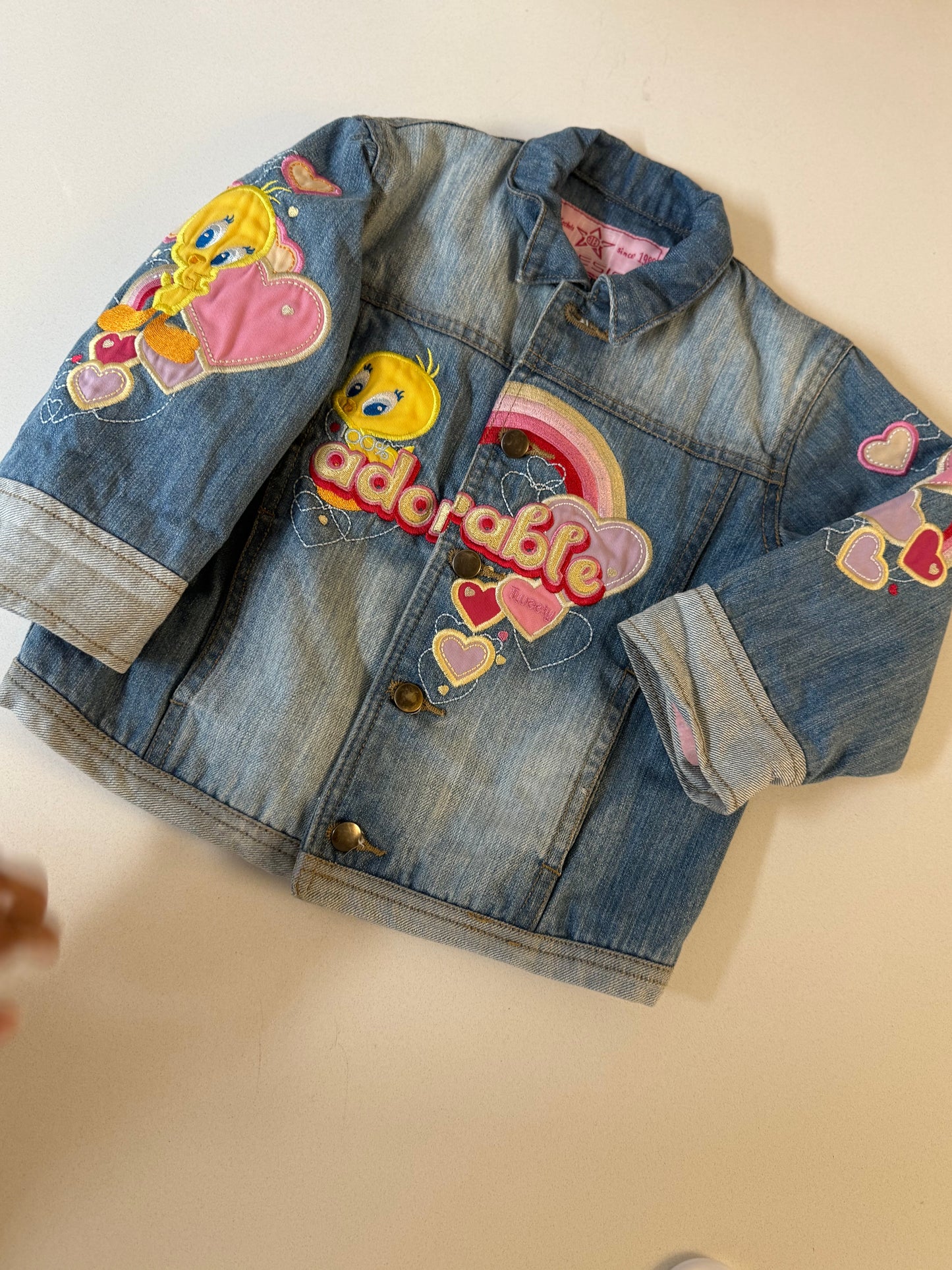Tweety bird JH Design jacket